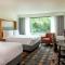 Holiday Inn Newport News - Hampton, an IHG Hotel - Newport News