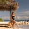 Hyatt Ziva Rose Hall - All Inclusive - Montego Bay