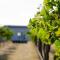 Hounds Run Vineyard - Tiny House in the Grampians - Great Western