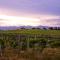 Hounds Run Vineyard - Tiny House in the Grampians - Great Western