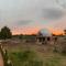 El Gato Glamping con vista al valle