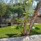 Villa Michelle 8