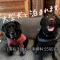 The Suite Forest FUKUOKA DAZAIFU -TOBARI- 1日1組限定の貸別荘 大型犬ペット可