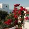 VOTSALO - Semi Based Studio with Indoor Garden - Part Of White Dunes Luxury Boutique Hotel