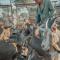 Africa Awaits Lodge & Safaris