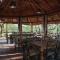 Mashatu Lodge