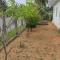 Laxsume Guest House Nilaveli