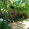 Palm Garden Villa-Apt - Tropical Oasis at Cronulla Beach - 克罗纳拉