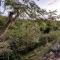 Tropic Valley Lodge