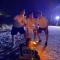 Pepon Surf Camp