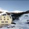 Are Alpine Escape Ski-in Ski-out Apt