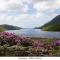 Green Acres Self Catering