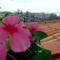 Villa il Barone - Free Private Parking