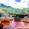 Rainforest View