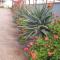 Moonta Bay Accommodation