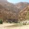 Wadi shab guest house - Ţīwī