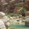 Wadi shab guest house - Ţīwī