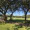 Holyrood Park: Lush & Arty 2 Double Bed Flat - 爱丁堡