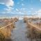 Sandy Dunes - Oak Island