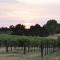 Sleeps 12 Pet Friendly Next to Amador Top Wineries - Plymouth