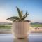 Stunning Renovation edge of Frome + country views - 弗罗姆