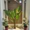 Greenery Rooms