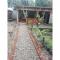 OYO 93627 Avocado Homestay