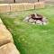 Mountview Alpaca Farmhouse