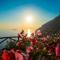 Aria di Mare, garden and Sea View in Positano