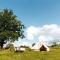 Glamping in Småland