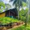 The Rainforest Hideaway