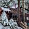 Lewis Creek cabin near Yosemite king beds