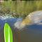 Manatee Spacious Updated On River 1 Mi to Beach Kit W&D