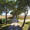 Terra di Cortona