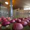 Hotel Apple Land