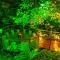 Noahs Forest Hotel by Tifakara
