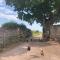 Cosy Stable at Oak Farm - Usk