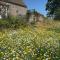 Cosy Stable at Oak Farm - Usk