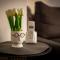 Apartman Elly