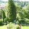 Pension Rheingold Garni