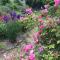 Lily’s Cottage, steps from Journeyman and Acorn! - Three Oaks