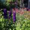 Lily’s Cottage, steps from Journeyman and Acorn! - Three Oaks