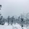 Wanderlust Mukteshwar