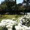 Royal Ridge Guesthouse