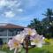 Sea Star Boutique Hotel