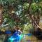 Sea Turtle - Fresh Spacious Cottage W&D Kit 1.3 Mi to Beach