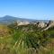 Les Dentelles du Ventoux - Gîte avec Piscine - Aubignan