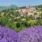 Les Dentelles du Ventoux - Gîte avec Piscine - Aubignan