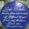Lisle Combe