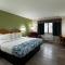 Regency Inn and Suites